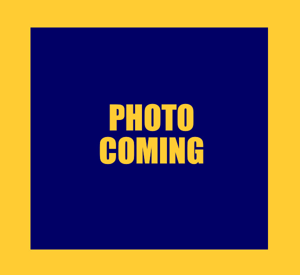 Alanson Public School